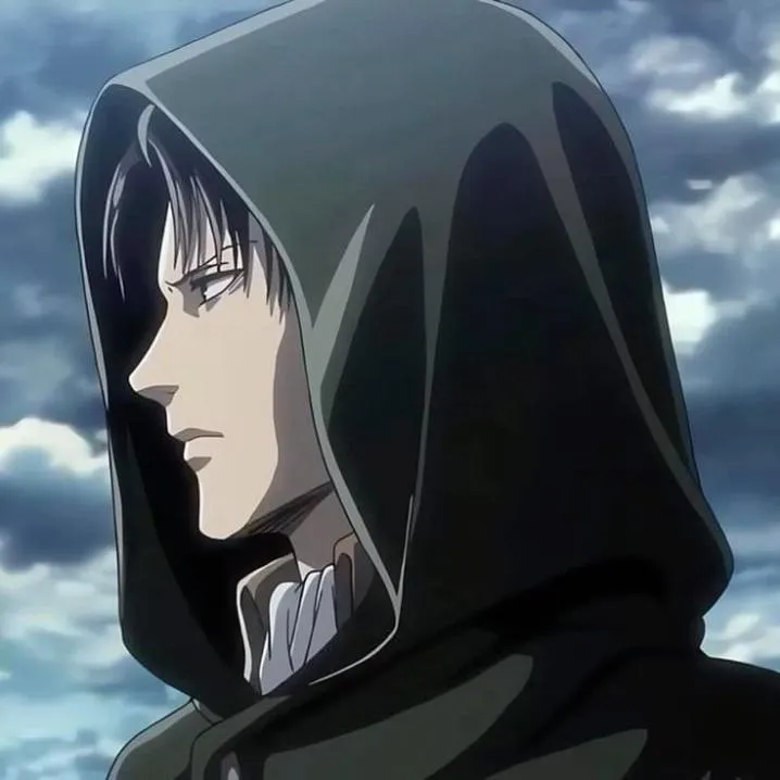 Attack On Titan PFP #10 (levi)