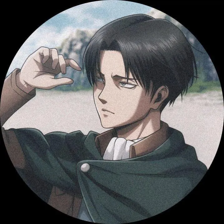 Attack On Titan PFP #2 (levi)