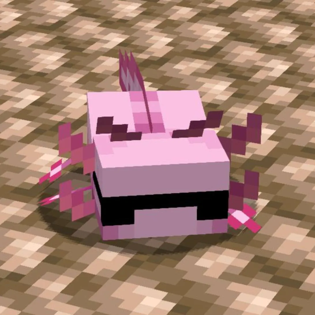 Axolotl PFP #14: A blocky pink Minecraft axolotl with dark pink gills stands on a floor of speckled light brown pixel blocks.