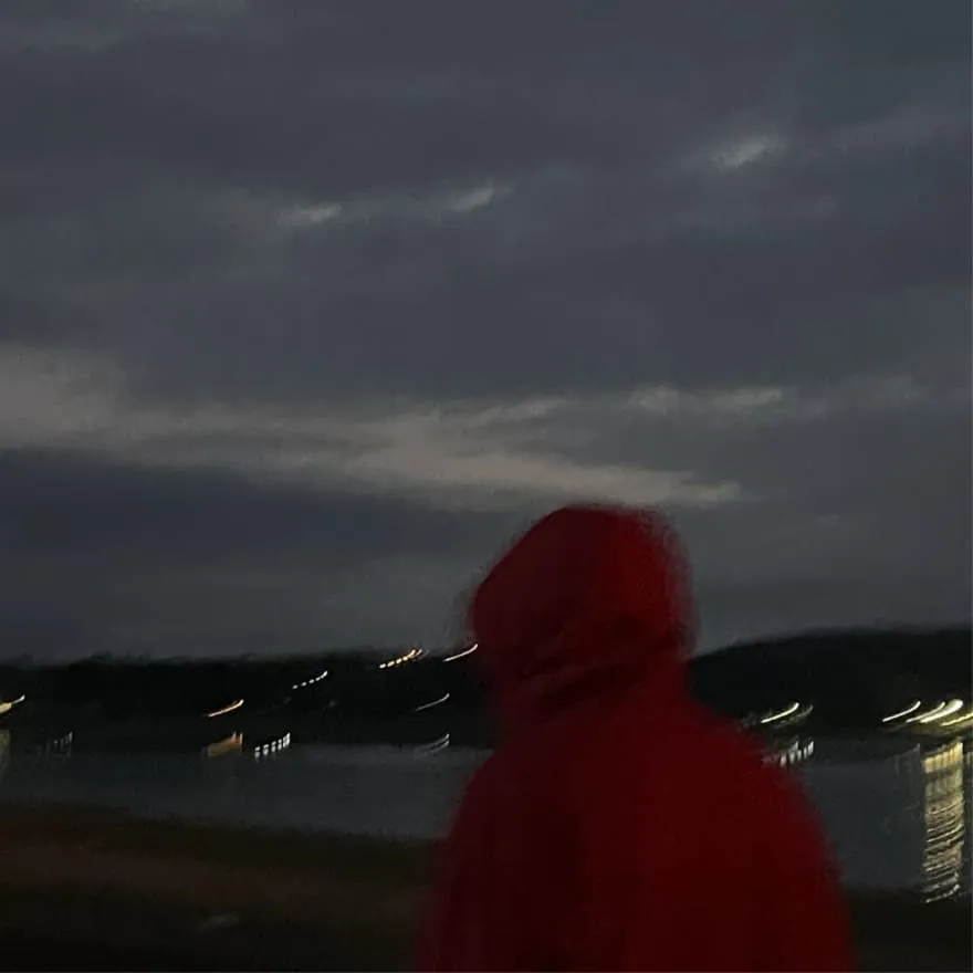 Boy PFP #31 (aesthetic, faceless, red)