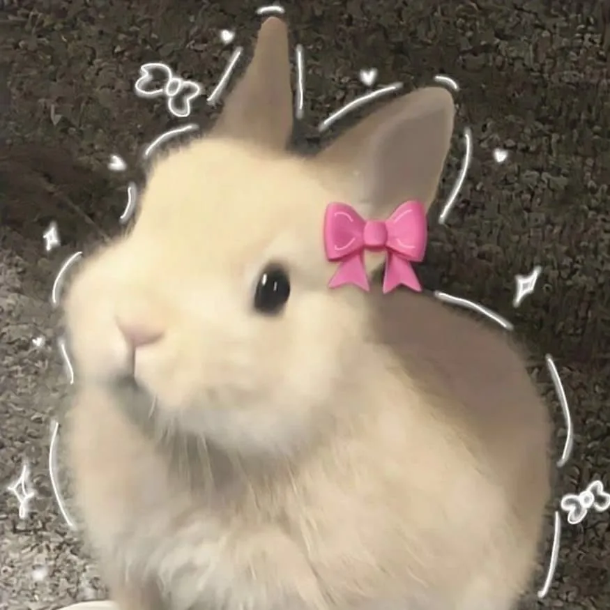 Bunny PFP #11 (bow, cute, real)