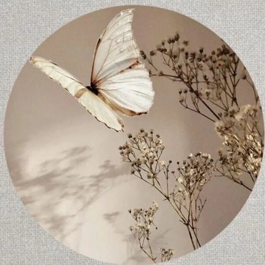Butterfly PFP #13