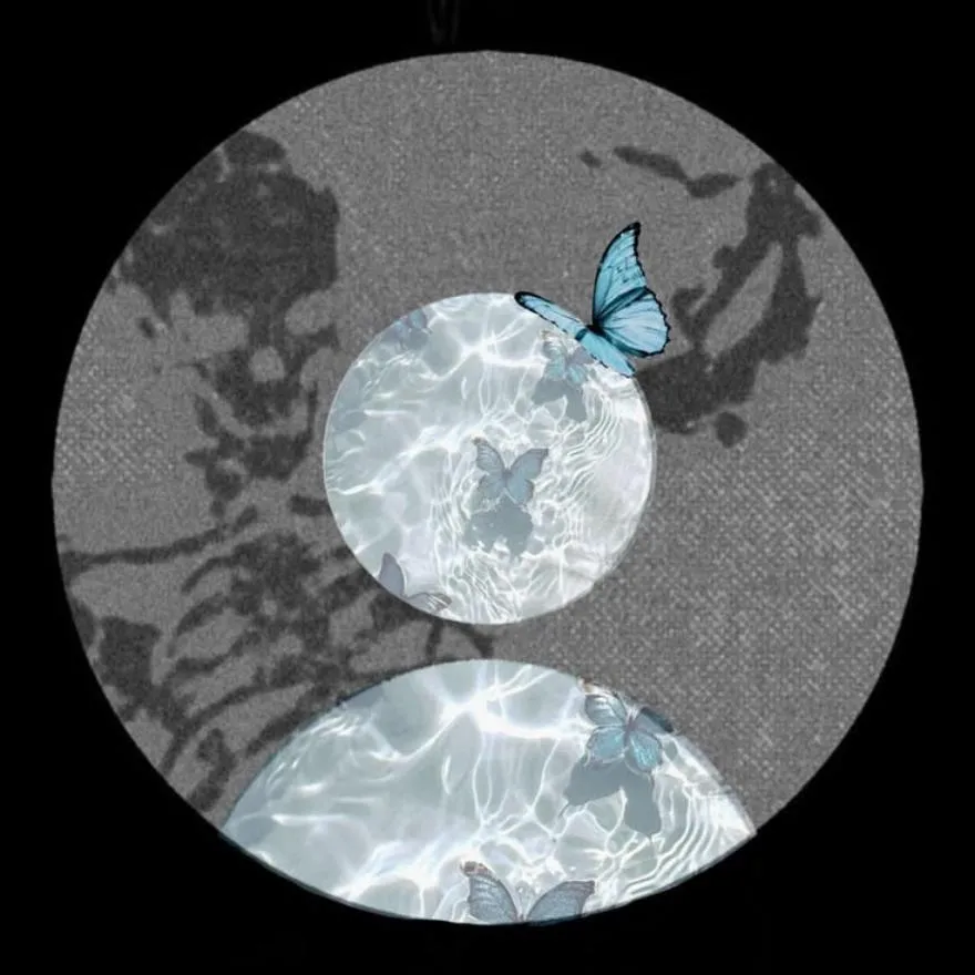 Butterfly PFP #19