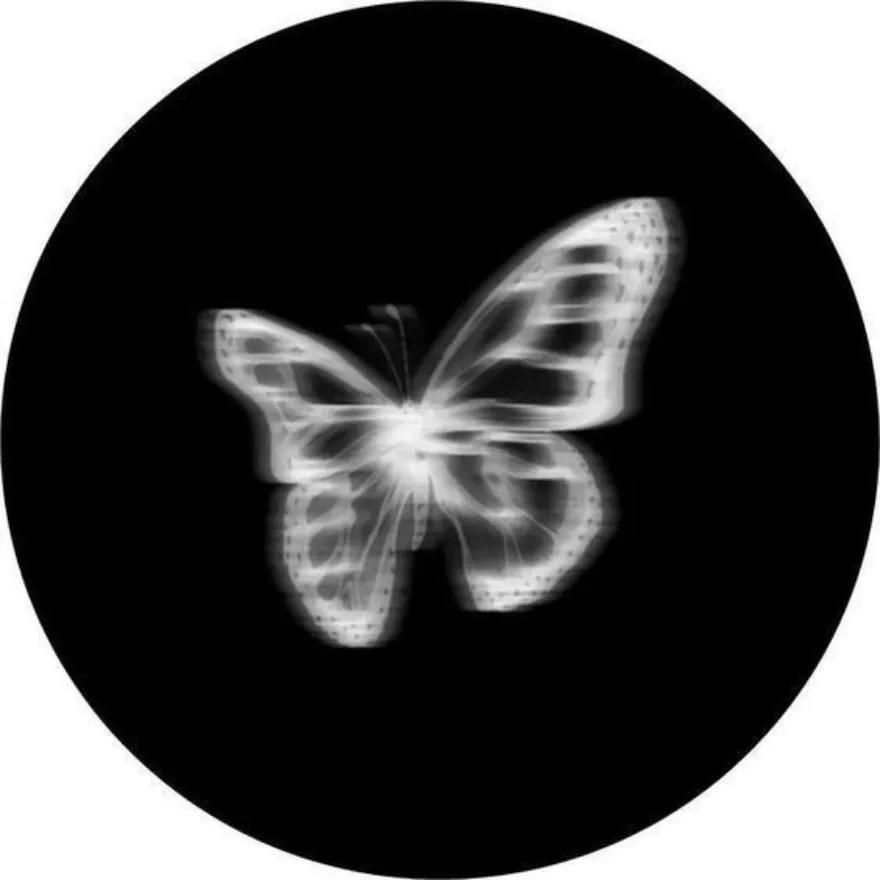 Butterfly PFP #8