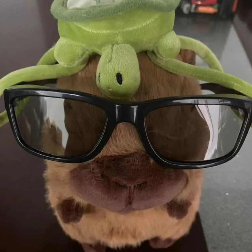 Capybara PFP #2 (funny, glasses, plush)