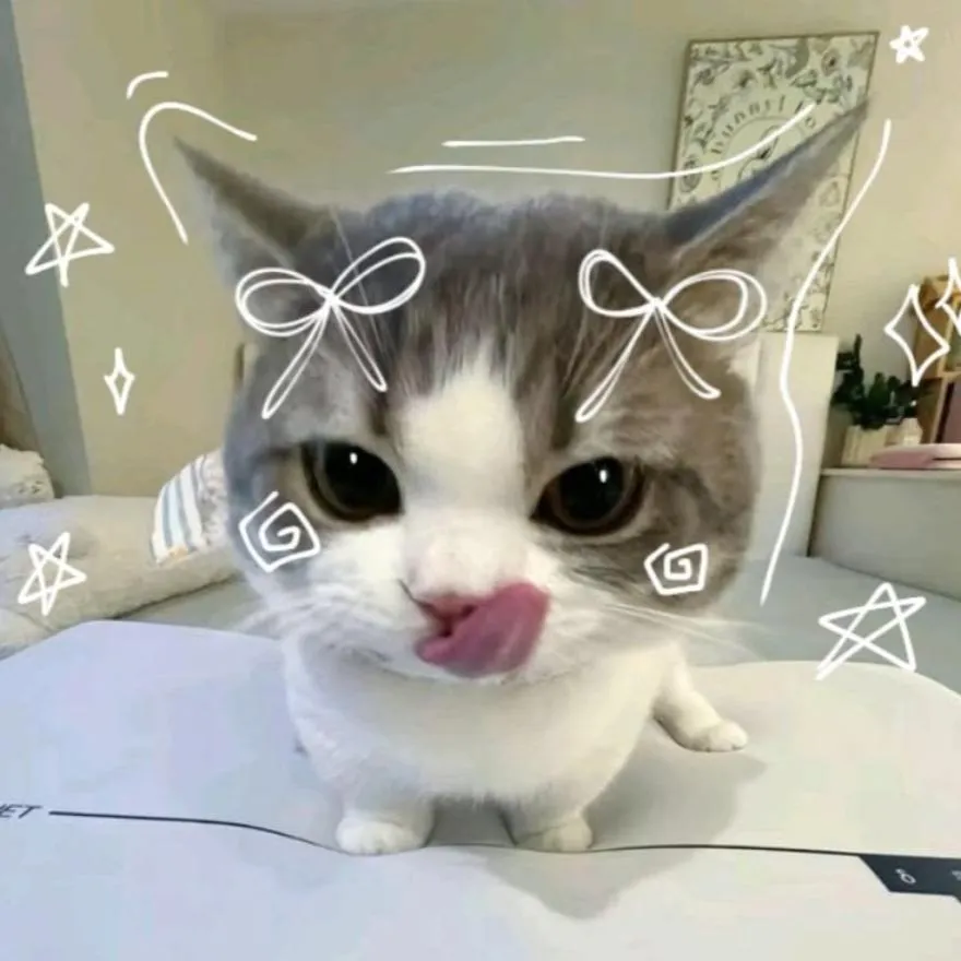 Cat PFP #15
