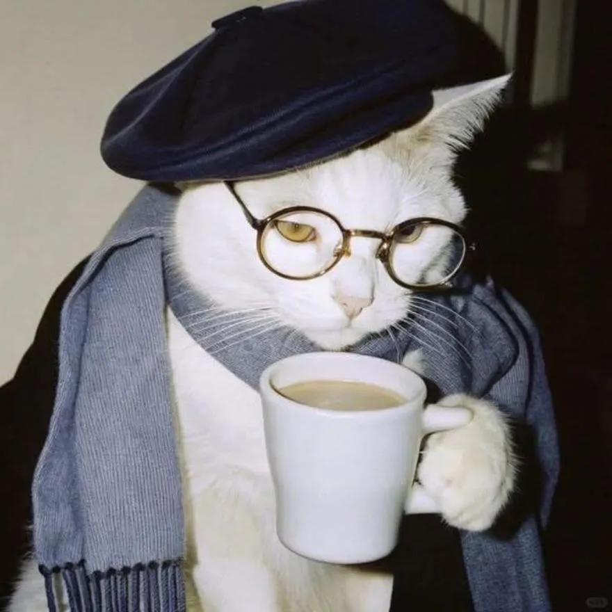 Cat PFP #21
