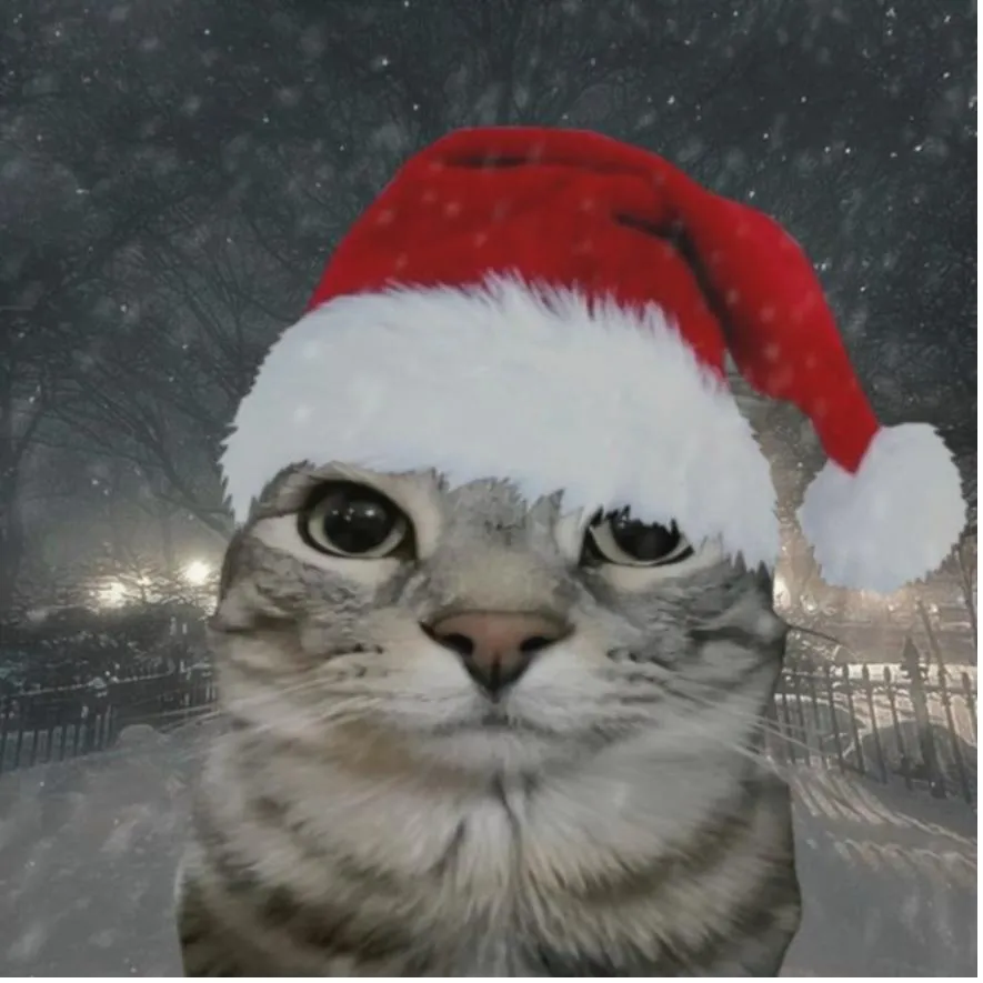 Christmas PFP #29 (cat)