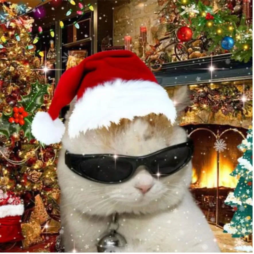 Christmas PFP #30 (cat)
