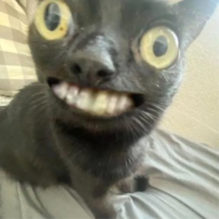 Cursed PFP #28