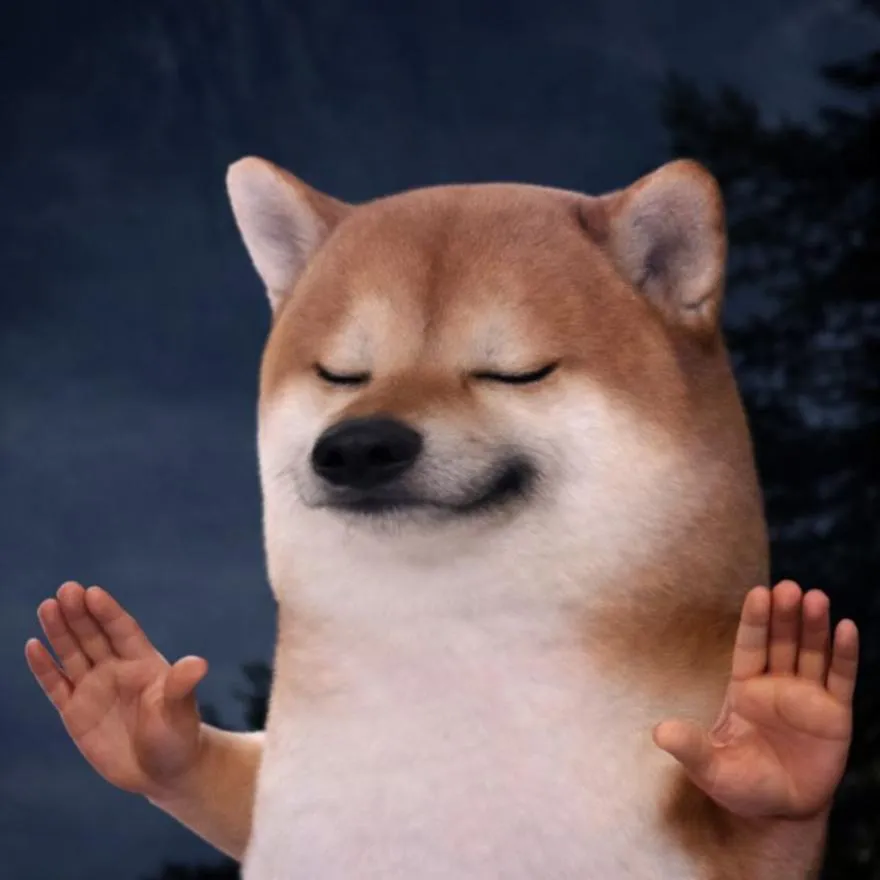 Dog PFP #19 (funny, meme, shiba)
