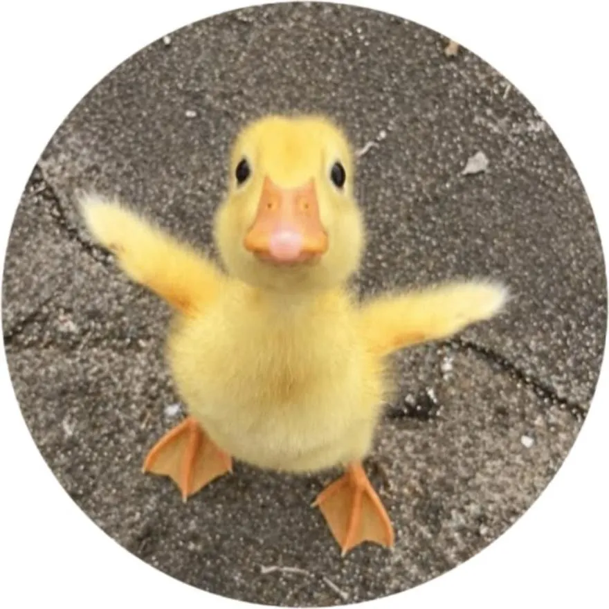 Duck PFP #27