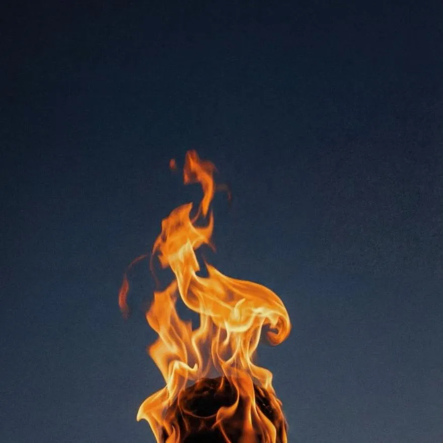 Fire PFP #28