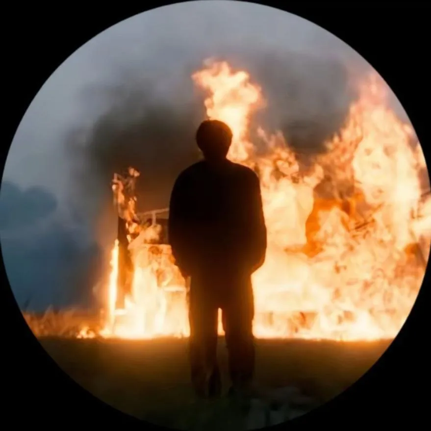 Fire PFP #30