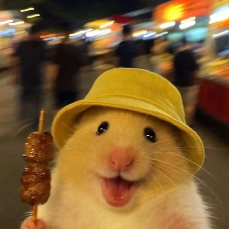 Food PFP #6 (funny)