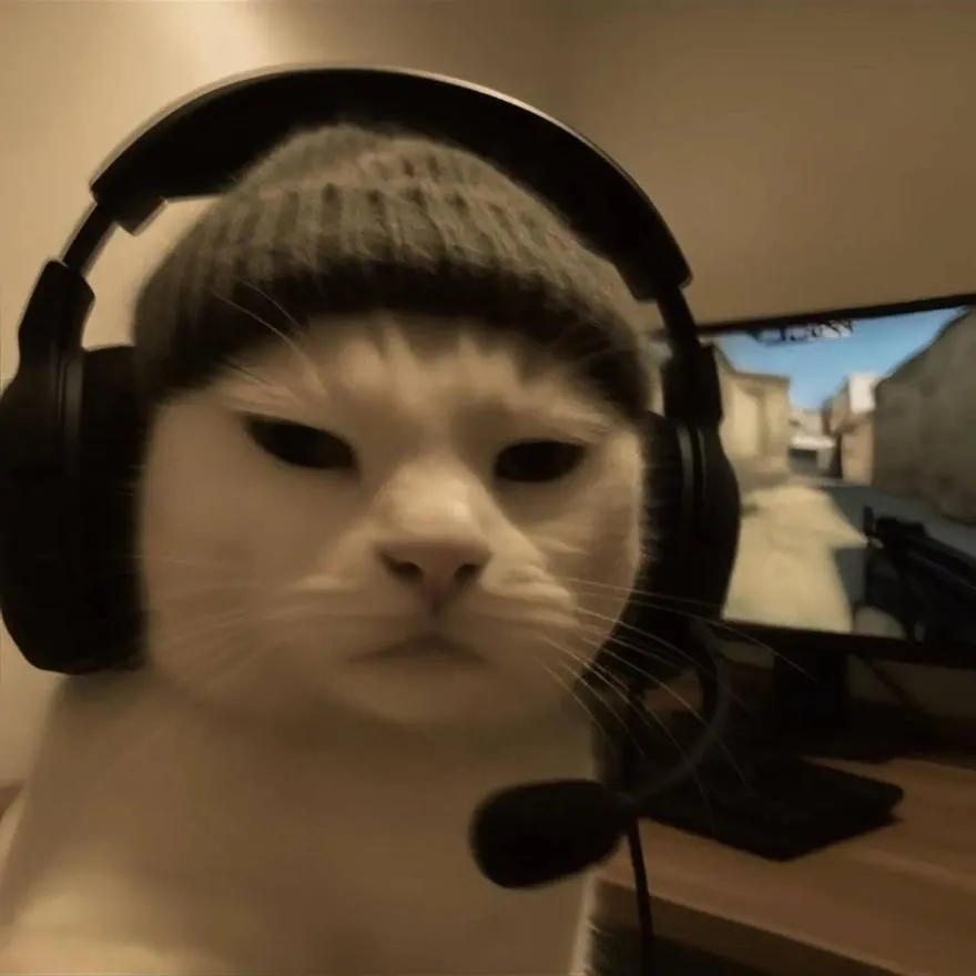 Gaming PFP #31