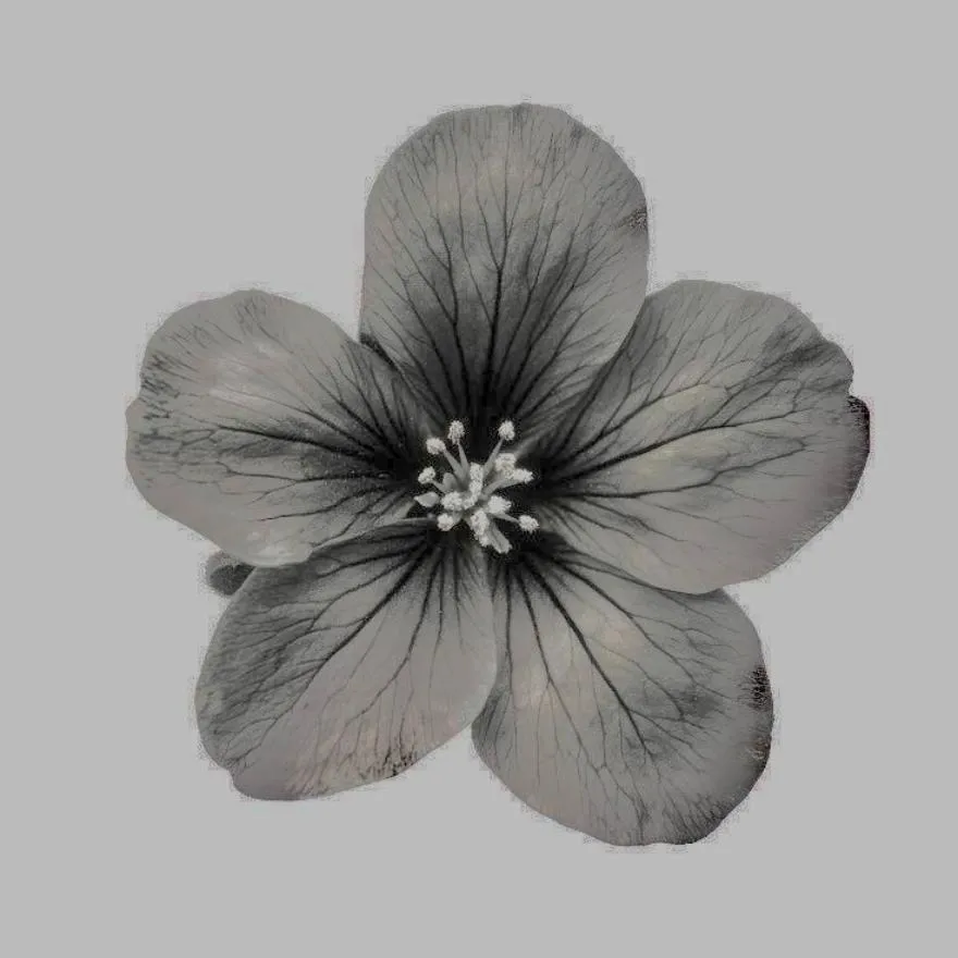 Grey PFP #4