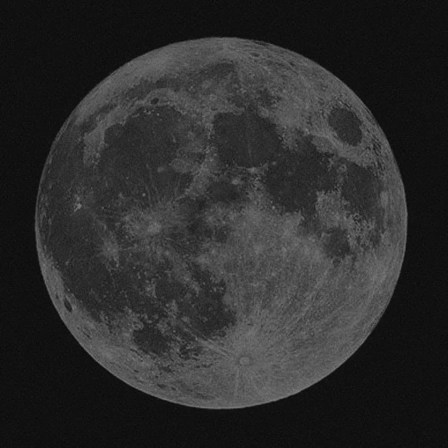 Grey PFP #5
