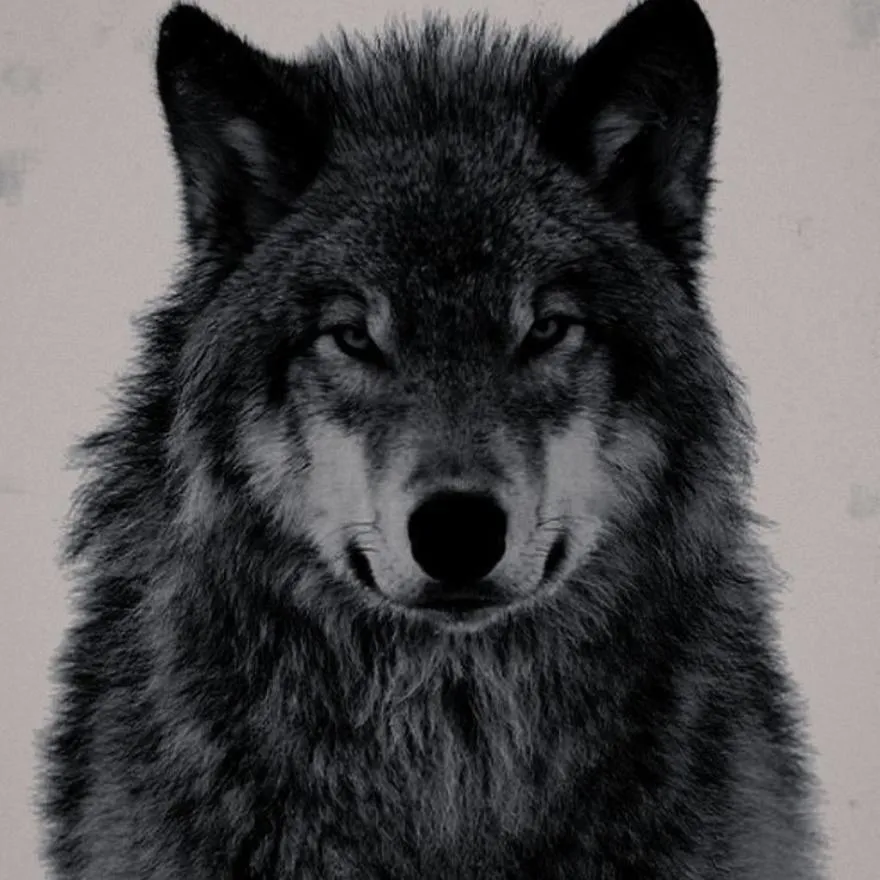 Grey PFP #8