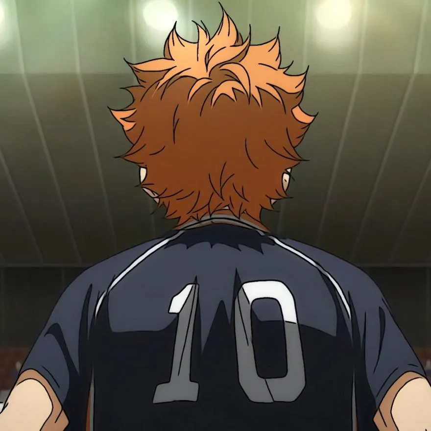 Haikyuu PFP #6 (hinata)