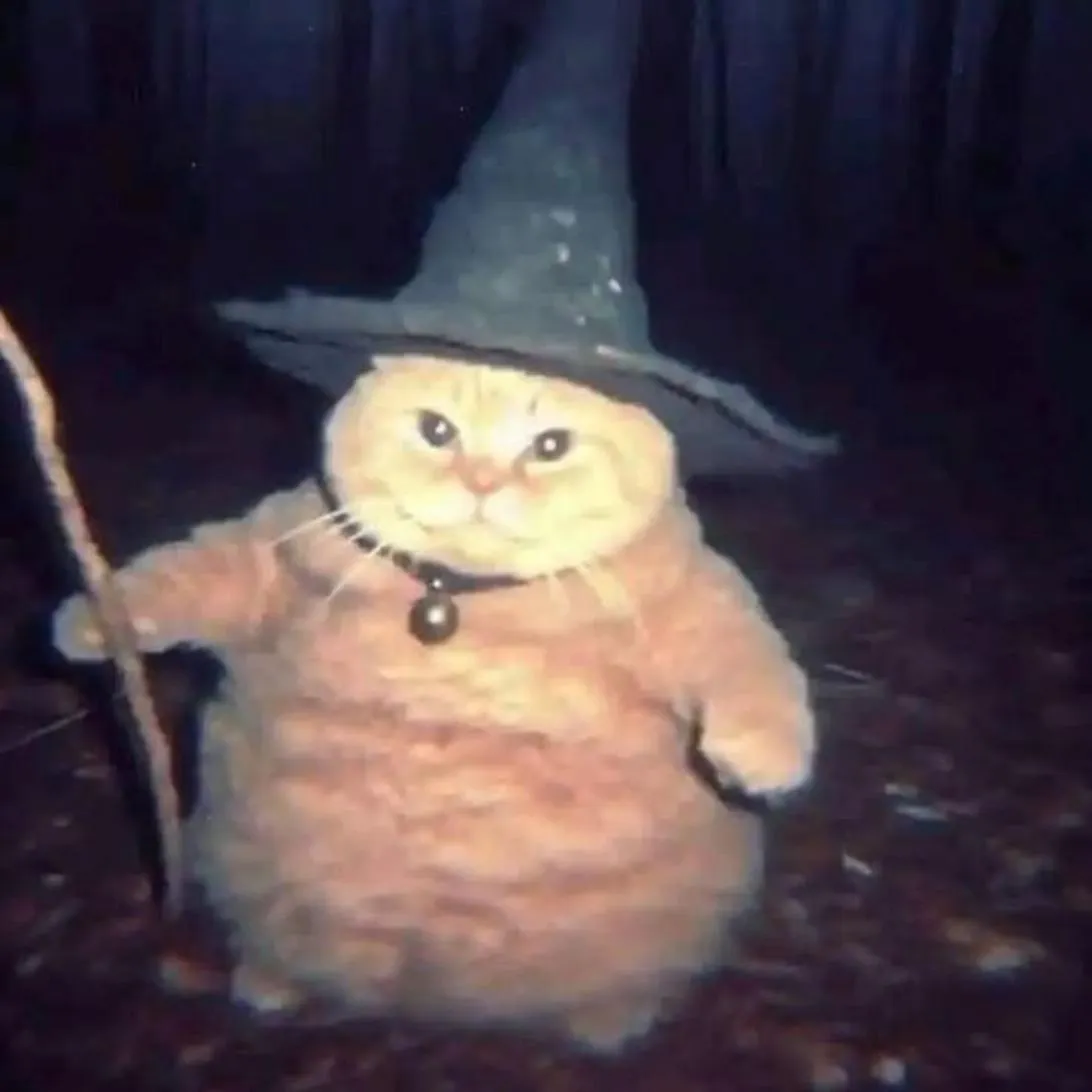 Halloween PFP #23 (cat, cute)