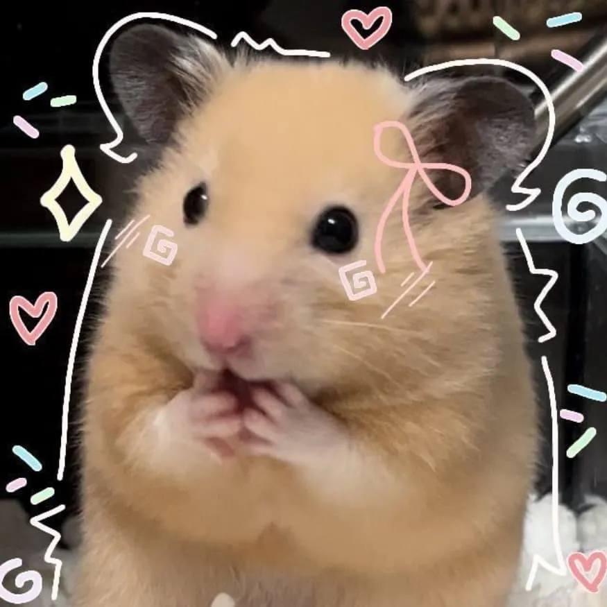 Hamster PFP #1 (bow, cute, real)