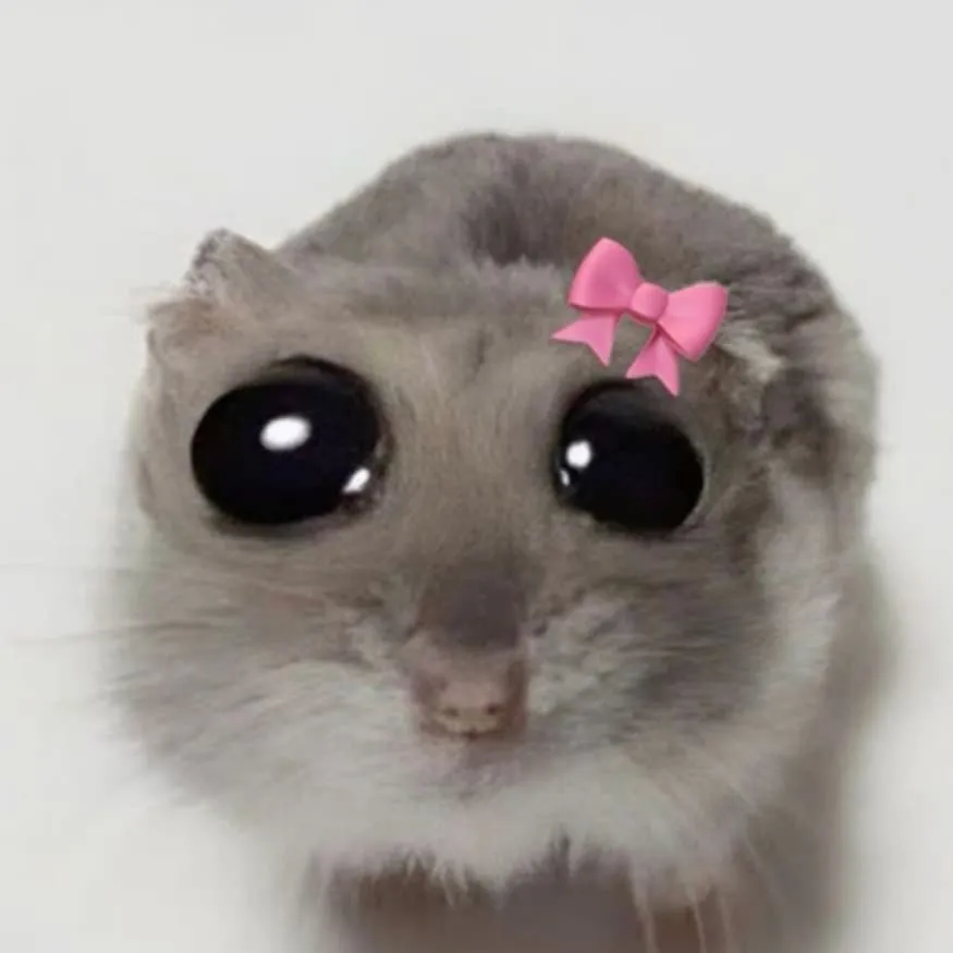 Hamster PFP #11 (bow, real, sad)