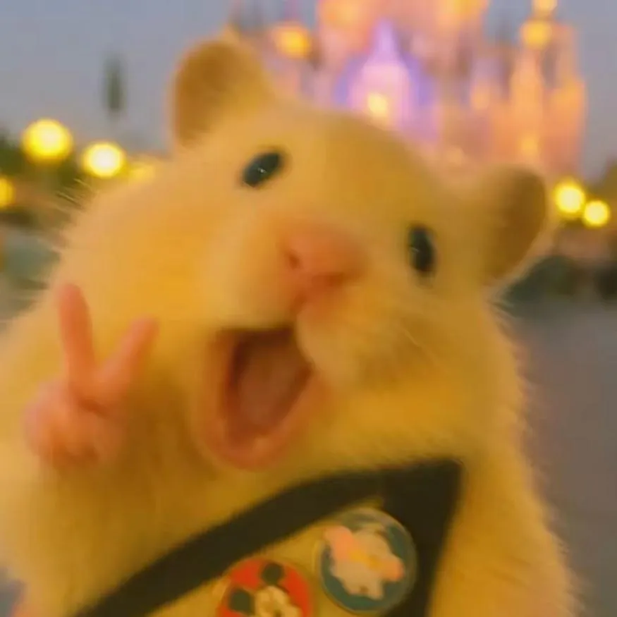 Hamster PFP #13: A fluffy golden hamster with its mouth wide open holds up a peace sign in front of blurry purple castle lights.