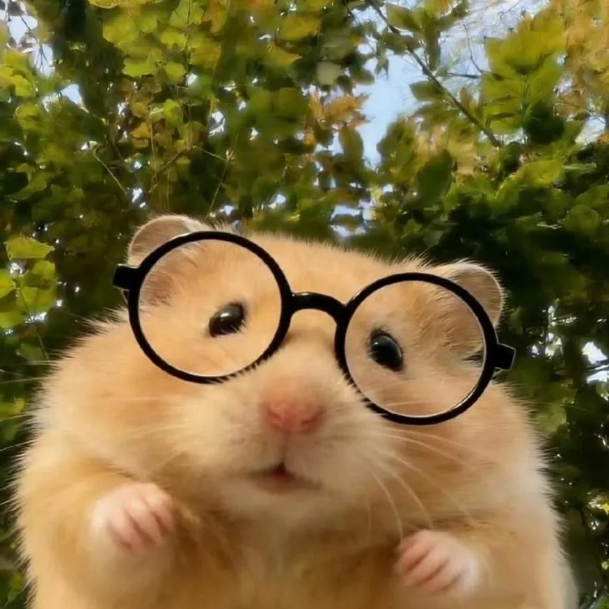 Hamster PFP #14: A golden hamster in round black glasses holds its tiny paws up in front of green tree leaves and a bright sky.