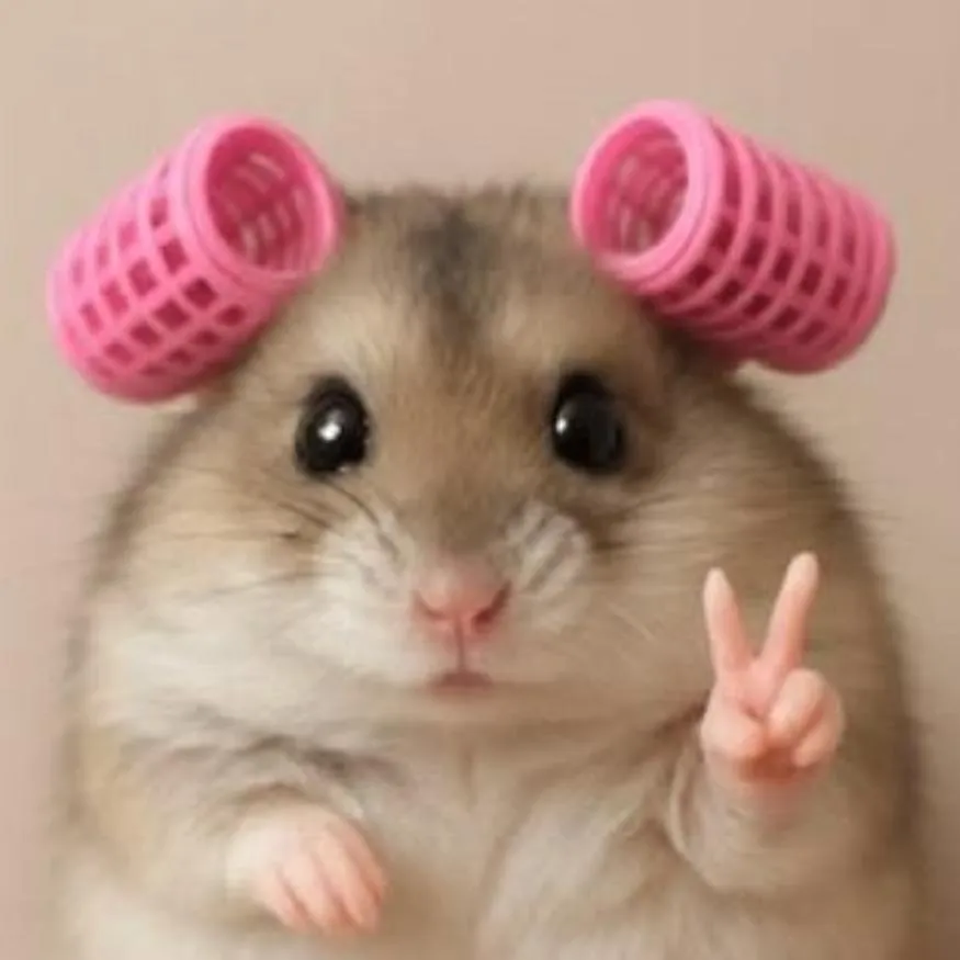 Hamster PFP #19: A grey and white dwarf hamster with two pink curlers on its head holds up a tiny peace sign against a soft beige background.