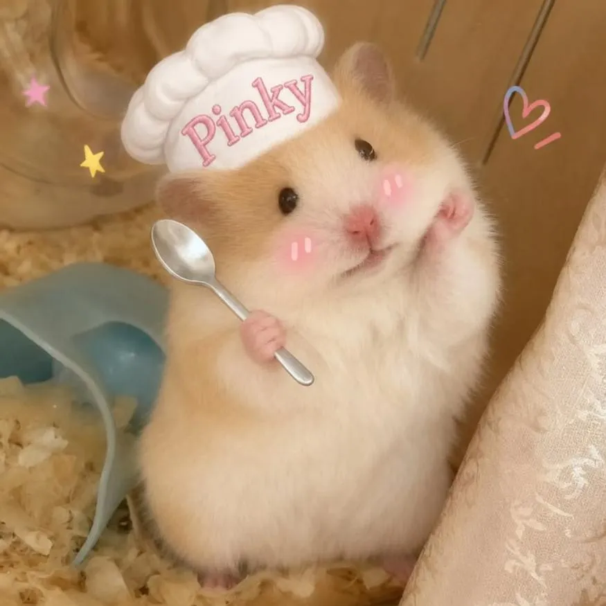Hamster PFP #20: A fluffy hamster in a white chef hat with Pinky written on it in pink holds a silver spoon, with pink blush and star stickers.