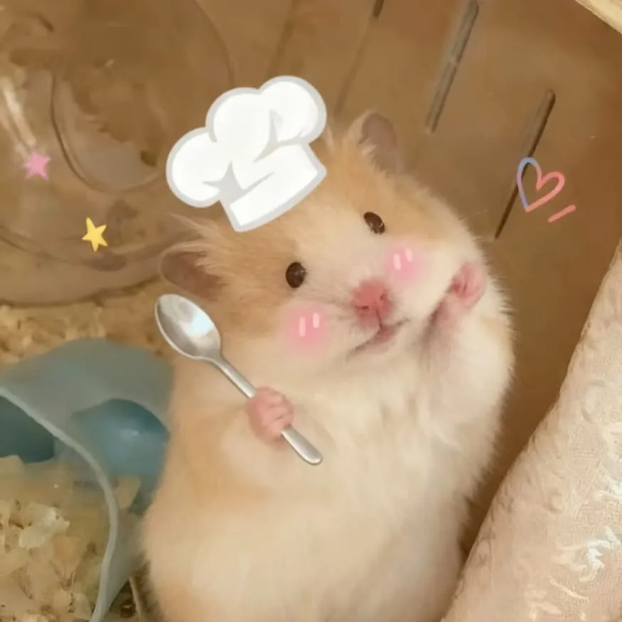 Hamster PFP #4 (cute, food, real)