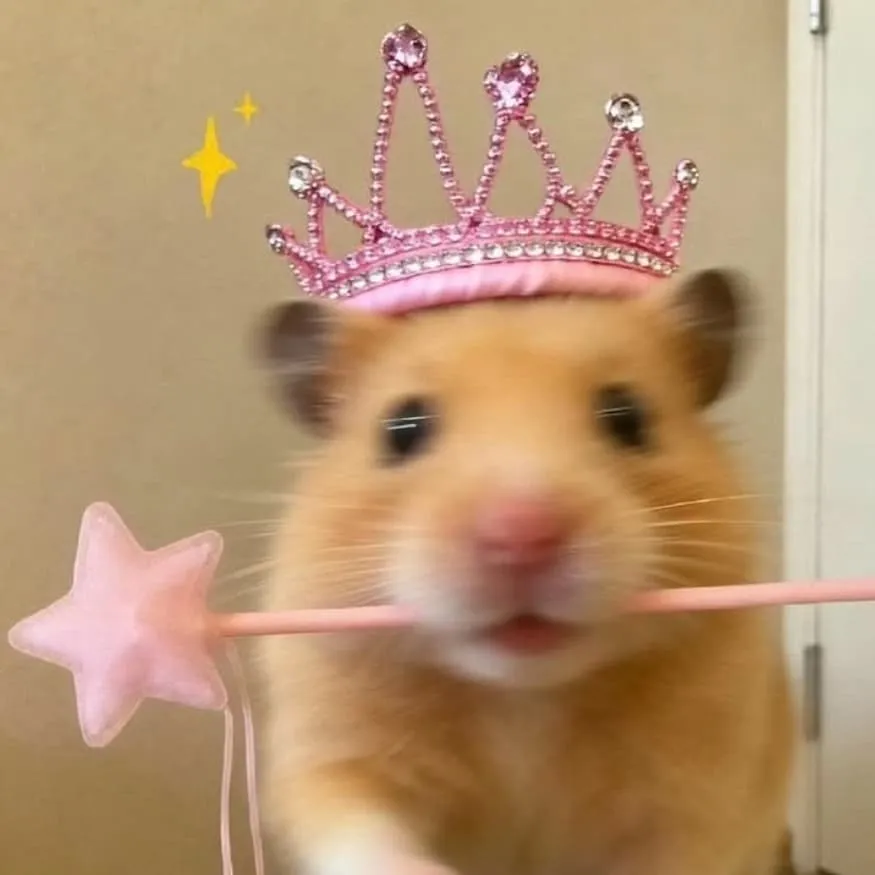 Hamster PFP #9 (cute, pink, real)