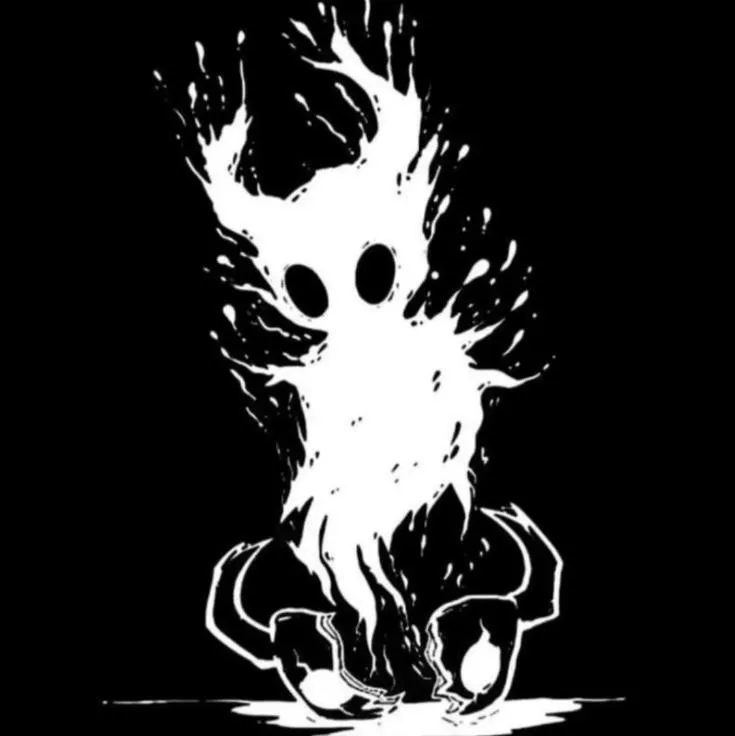 Hollow Knight PFP #10