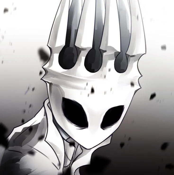 Hollow Knight PFP #11