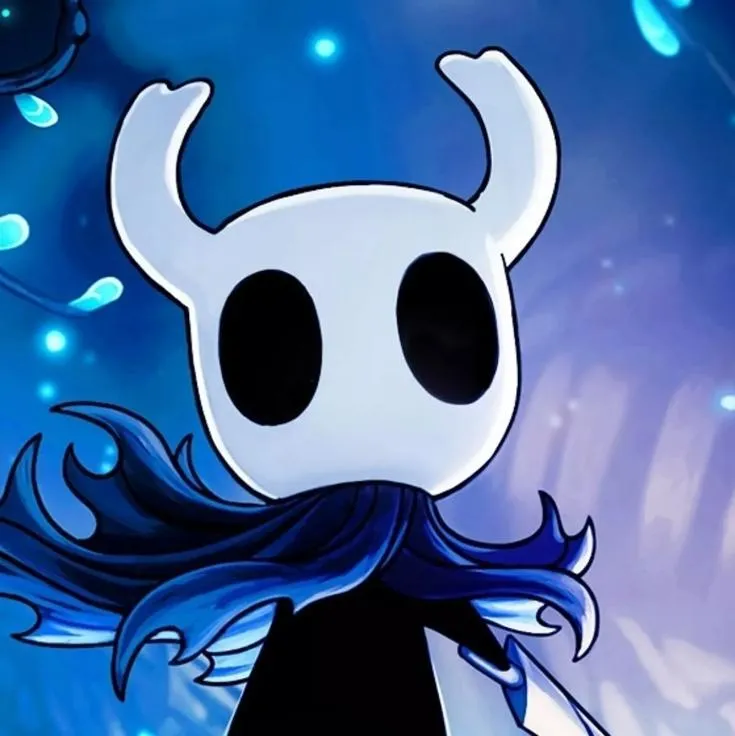 Hollow Knight PFP #15