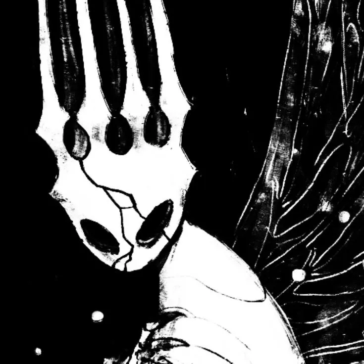 Hollow Knight PFP #19