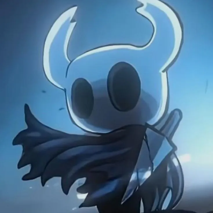 Hollow Knight PFP #4