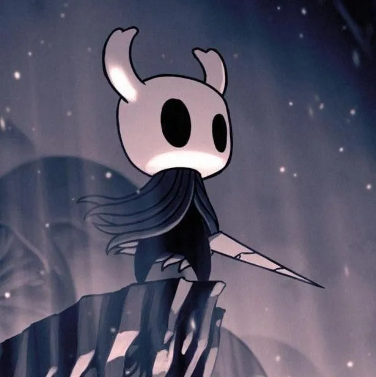 Hollow Knight PFP #6