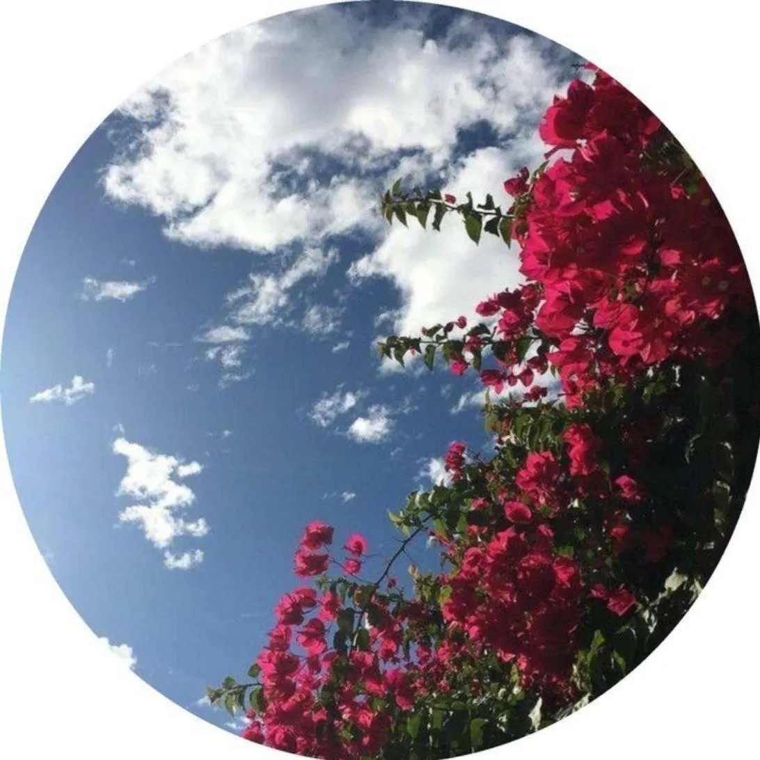 Instagram PFP #37 (aesthetic, flower, sky)