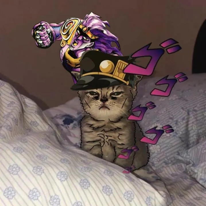Jojo PFP #4 (cat, funny, jotaro)