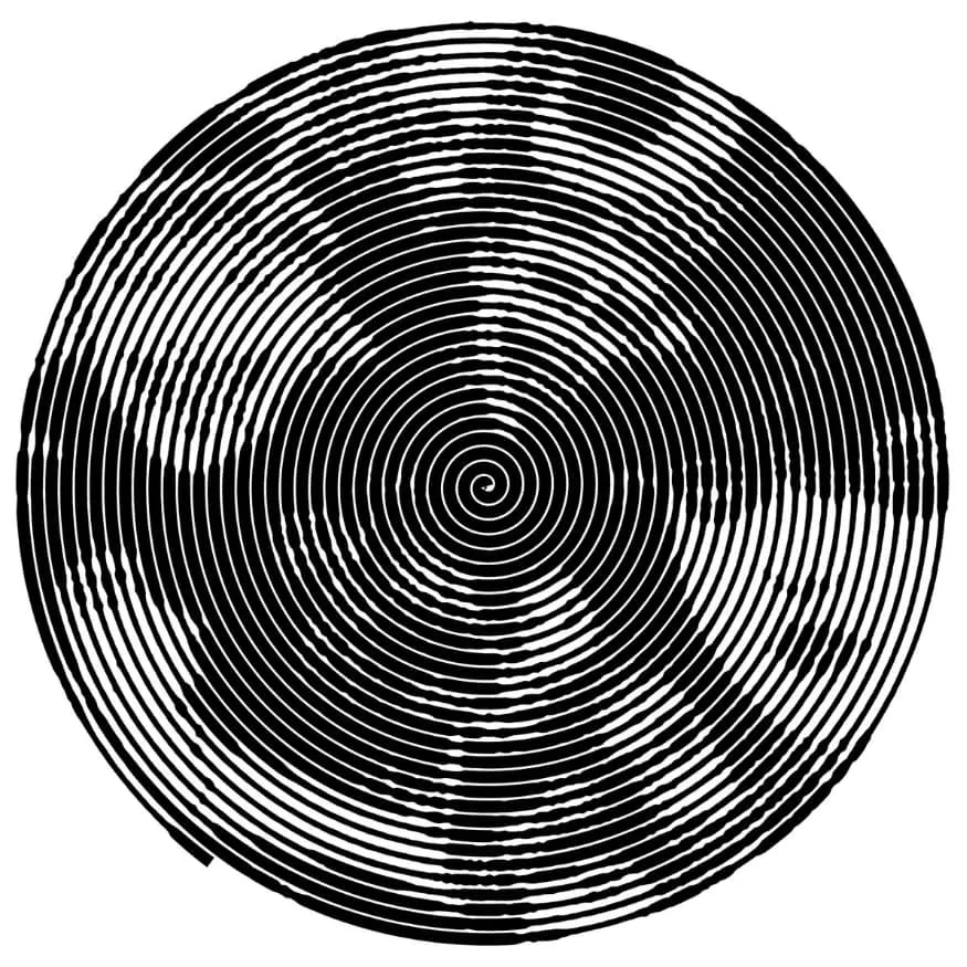 Junji Ito PFP #11 (black and white, spiral, uzumaki)
