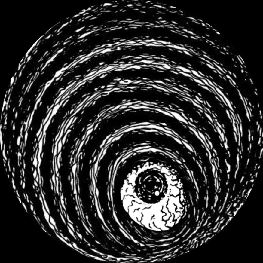 Junji Ito PFP #16: Rough white spiral lines swirl inward on a black circle toward a single veined eyeball staring out near its centre.