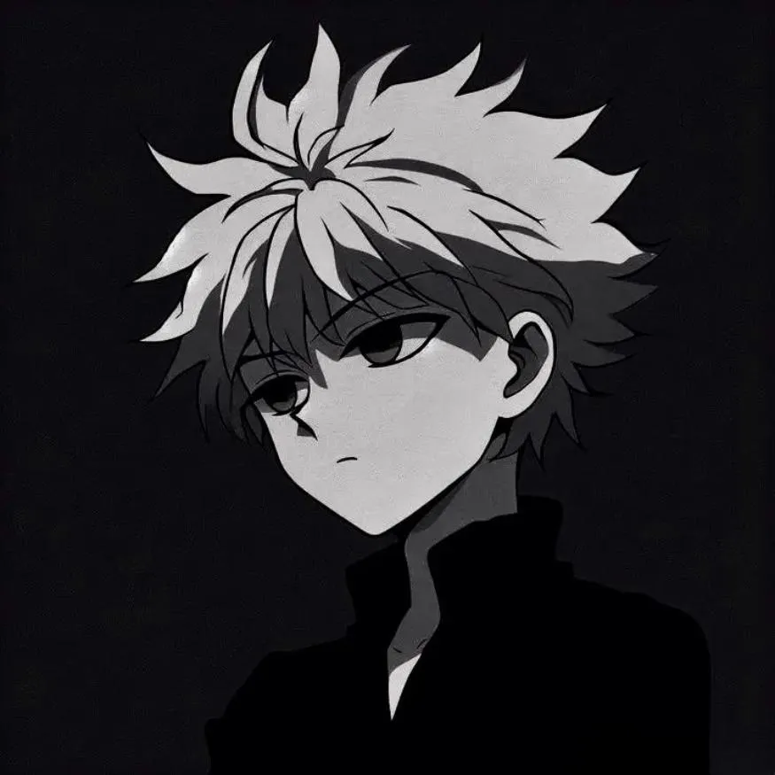 Killua PFP #7 (black and white, dark)