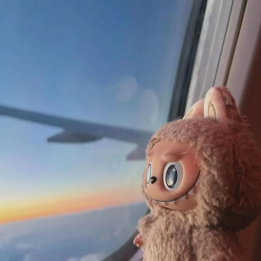 Labubu PFP #12 (aesthetic)