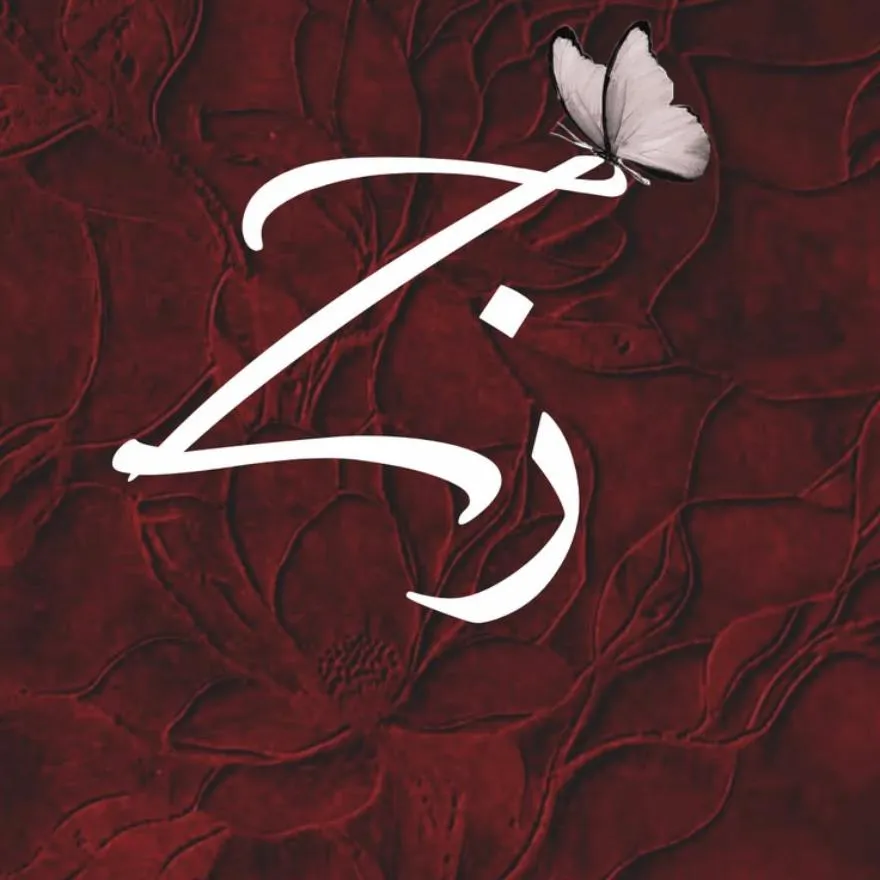 Letter PFP #23 (z)