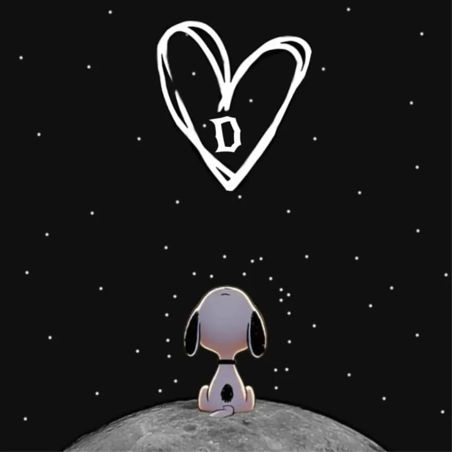 Letter PFP #52 (black, d, heart)