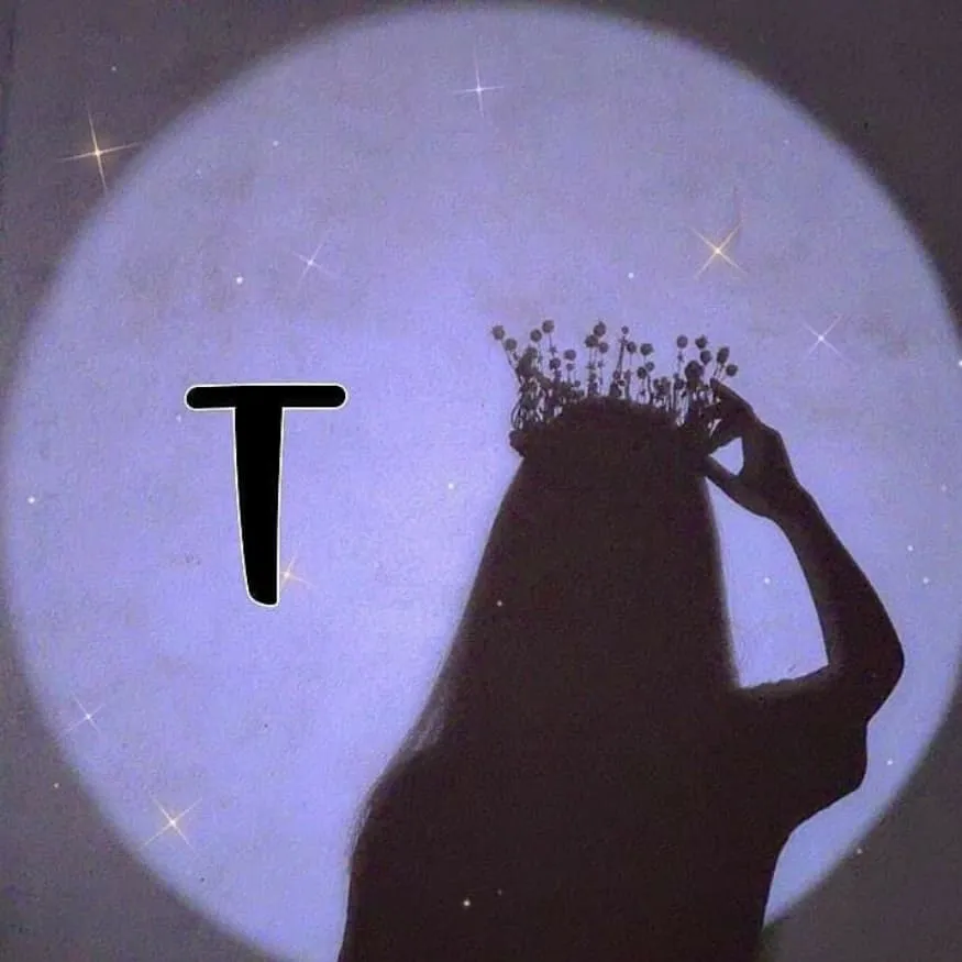 Letter PFP #73 (aesthetic, silhouette, t)
