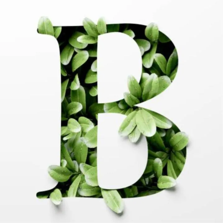 Letter PFP #86: A white letter B cut out of a white page reveals a bed of fresh green leaves inside its shape.