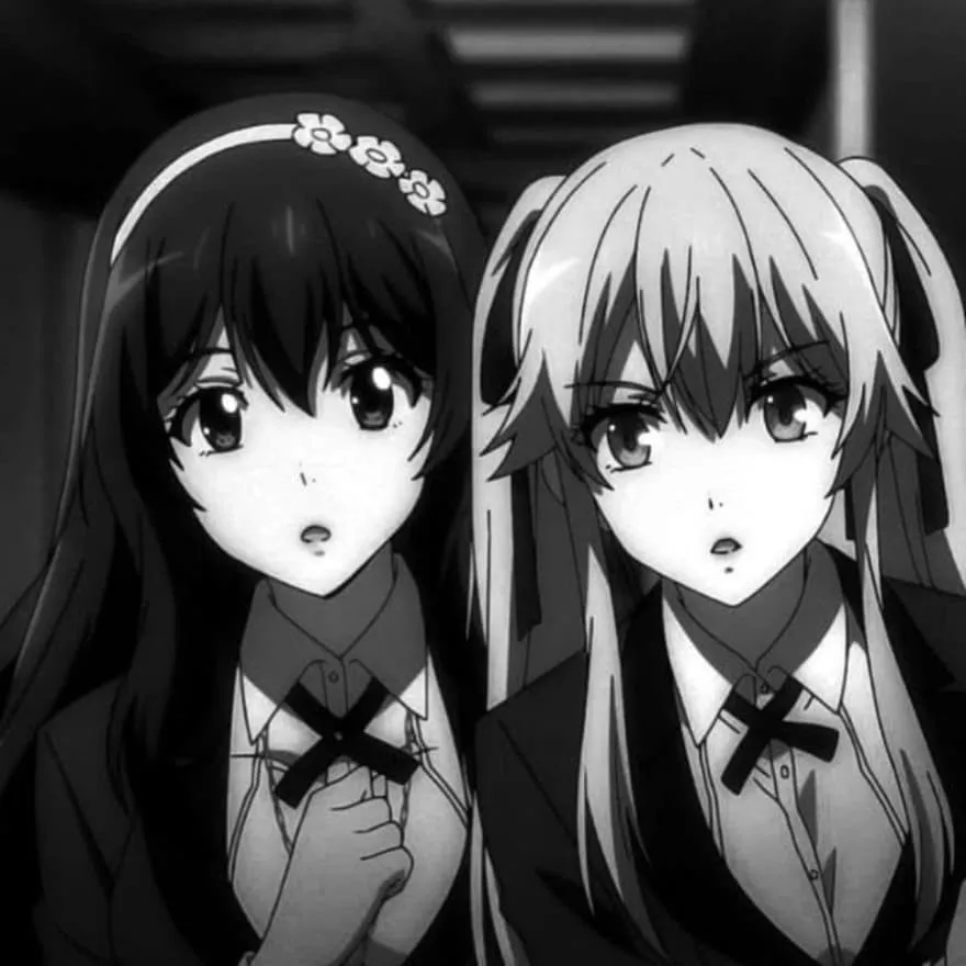 Matching PFP #31 (anime, best friends, black and white)